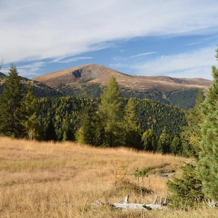 Alpenflair Appartment Mit Aussicht Zum Traeumen Turracher Hohe Esterno foto