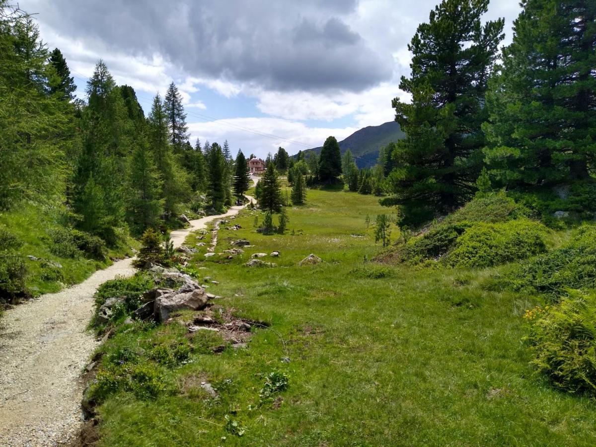 Alpenflair Appartment Mit Aussicht Zum Traeumen Turracher Hohe Esterno foto