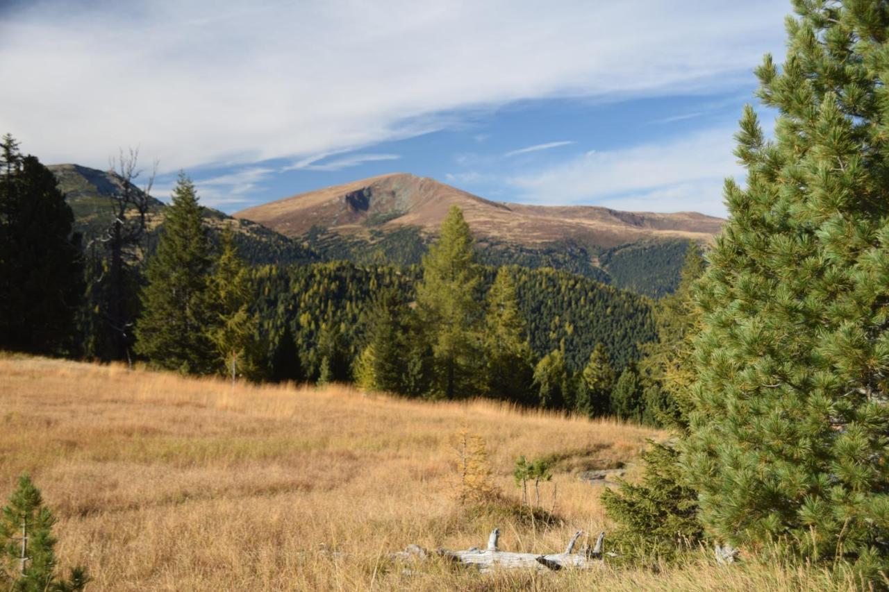 Alpenflair Appartment Mit Aussicht Zum Traeumen Turracher Hohe Esterno foto