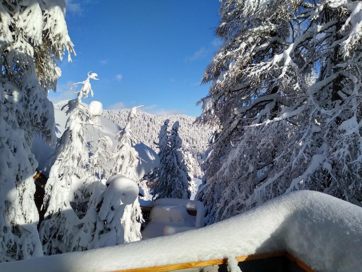 Alpenflair Appartment Mit Aussicht Zum Traeumen Turracher Hohe Esterno foto